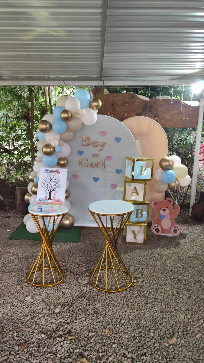 Decoración de baby shower Boy or Girl realizada por Orivhana
